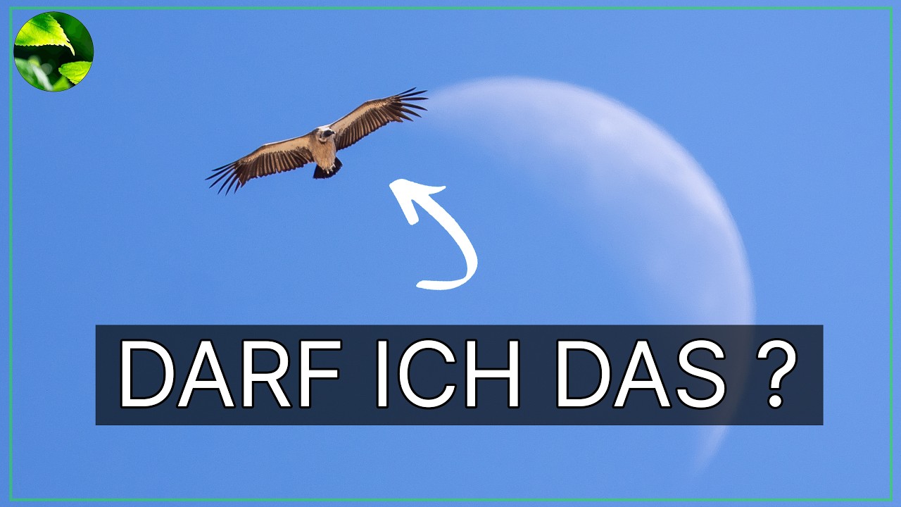 Ist DAS noch Fotografie? Ich zerlege die Kritik an Bildbearbeitung 📸