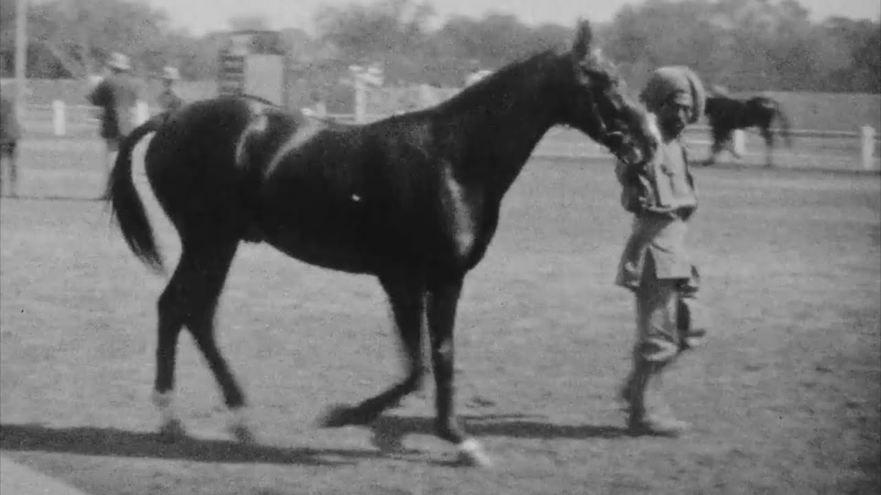 [1928] Horse Artillery at Patna | Danapur