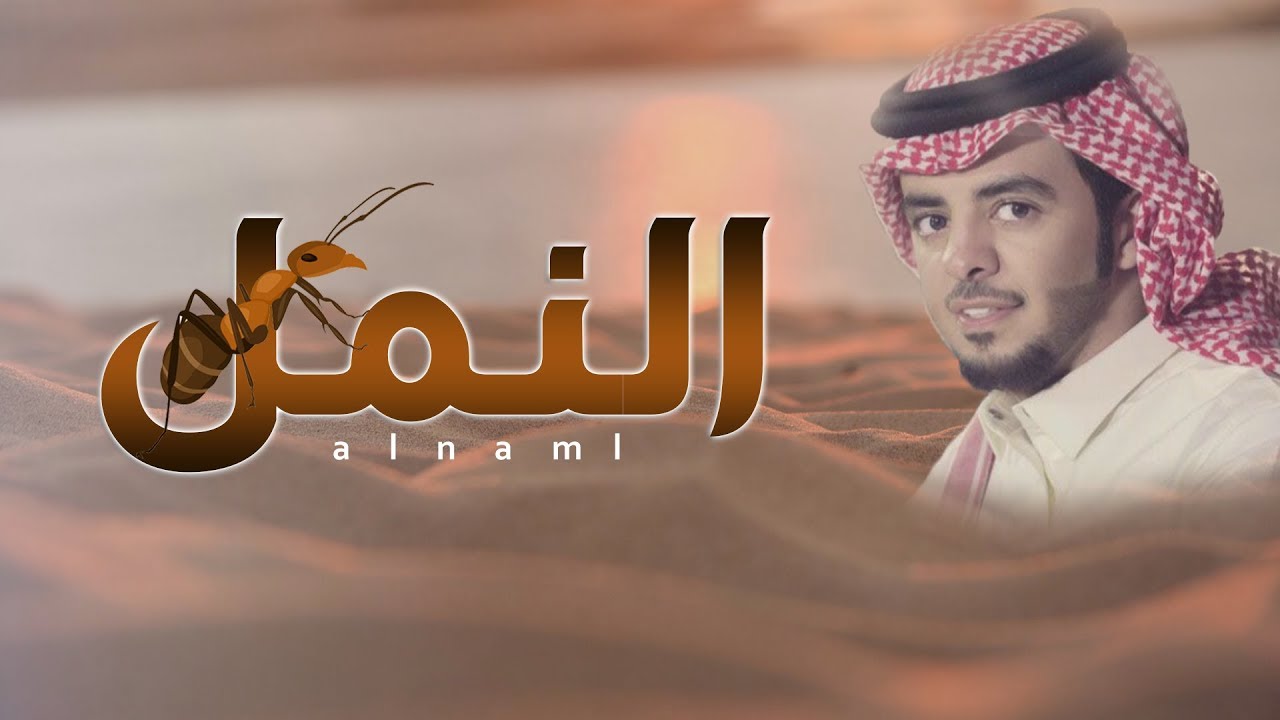 شيلة النمل ll كلمات ظافر الرياحي ll اداء محمد فهد 2019