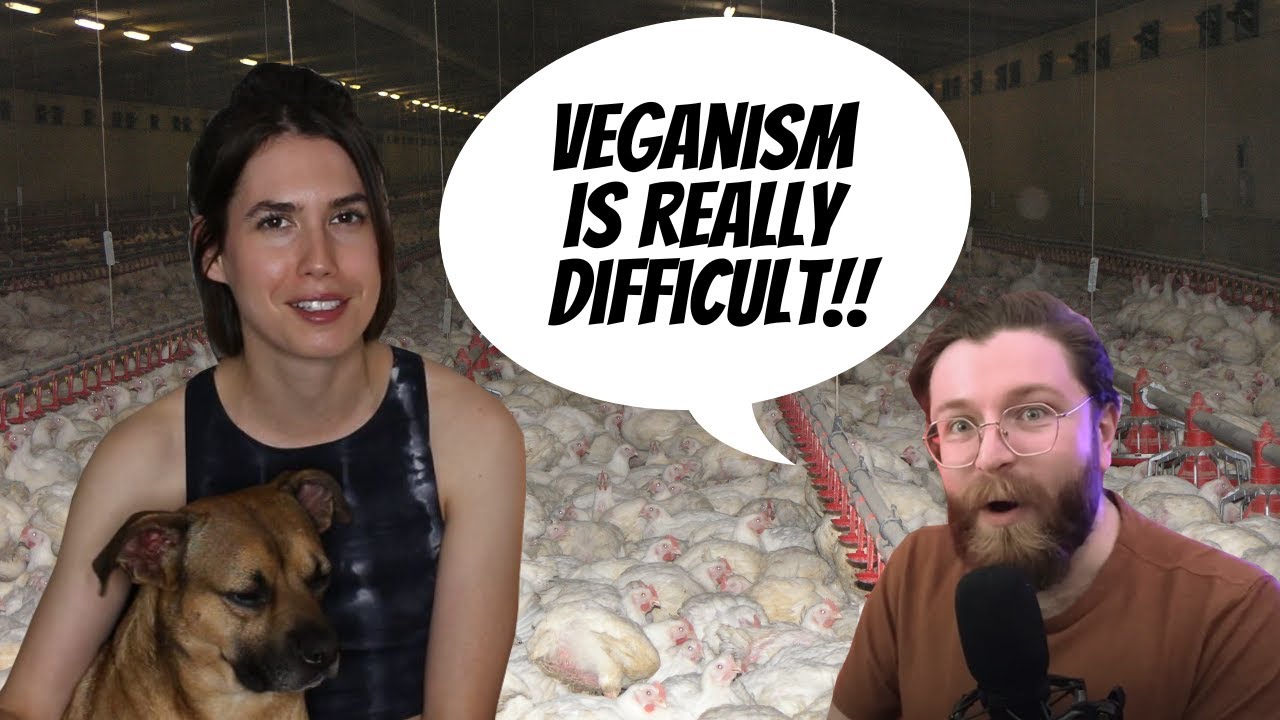 Is it difficult to be vegan?? + my beef with lab grown meat