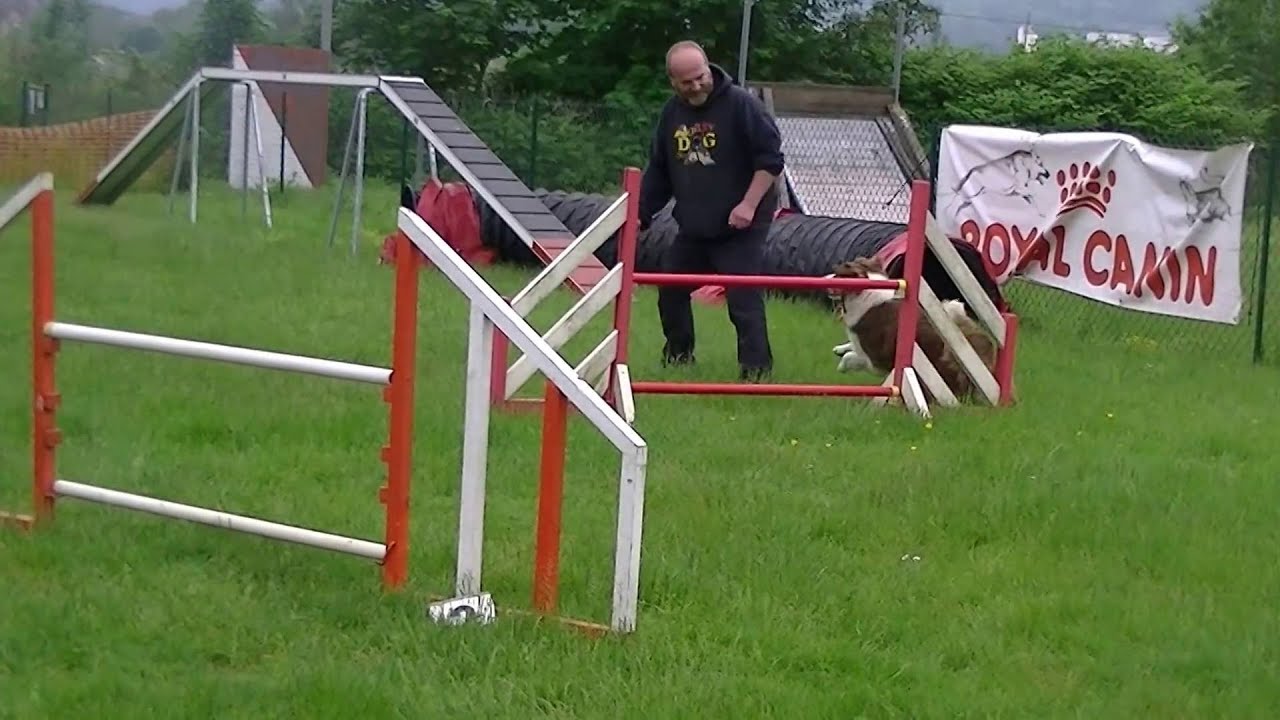 Extérieur Noyon   04 06 2016   J'Yanka 1