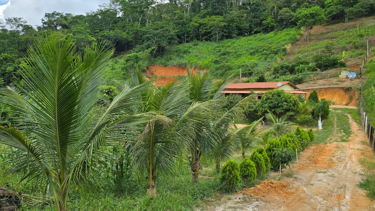 SÍTIO LIBERDADE 3 CORAÇÕES / 14 KM TEÓFILO OTONI-MG