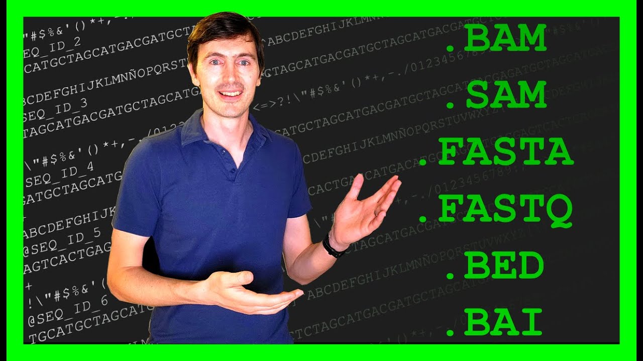 The Only 4 Bioinformatics File Types You Really Need to Know!