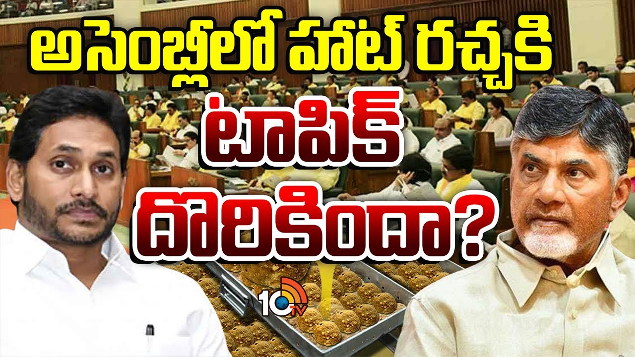 అసెంబ్లీలో హాట్ రచ్చకి టాపిక్ దొరికిందా? | AP Assembly | CM Chandrababu Vs YS Jagan |10TV News