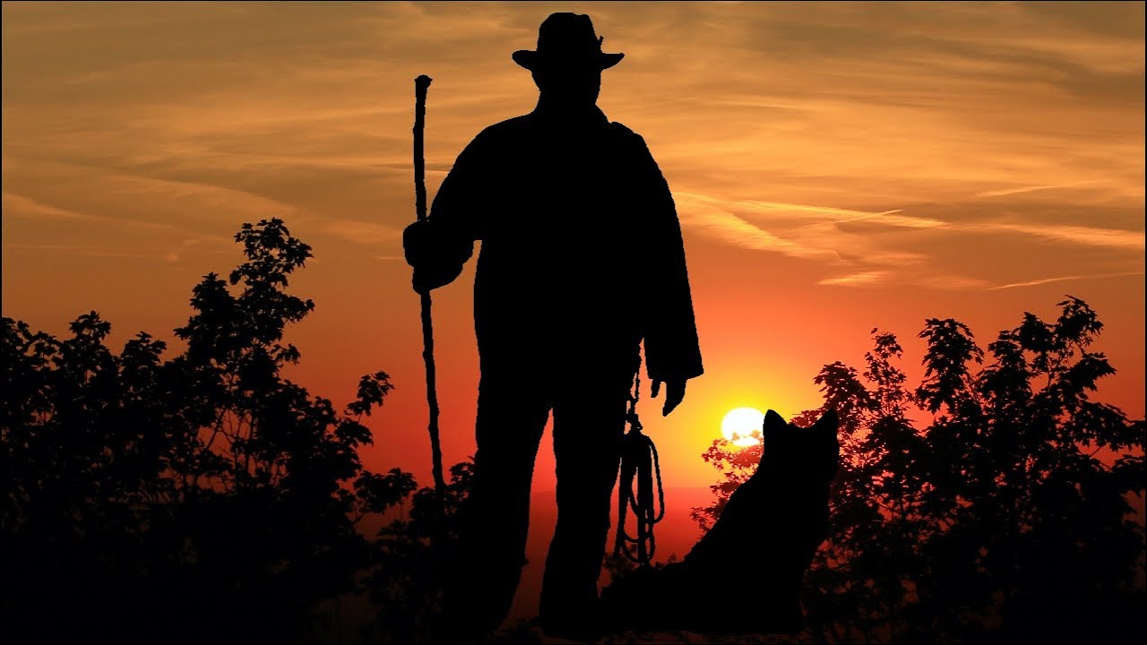 Oberharzer Cowboy - Der Song über das Rote Harzer Höhenvieh - 90 GRAD die Band