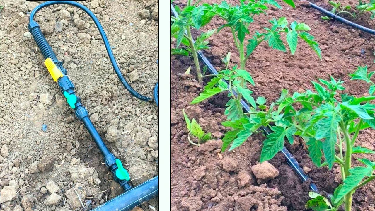 Инжектор для подкормки СВОИМИ РУКАМИ / do-it-yourself injector