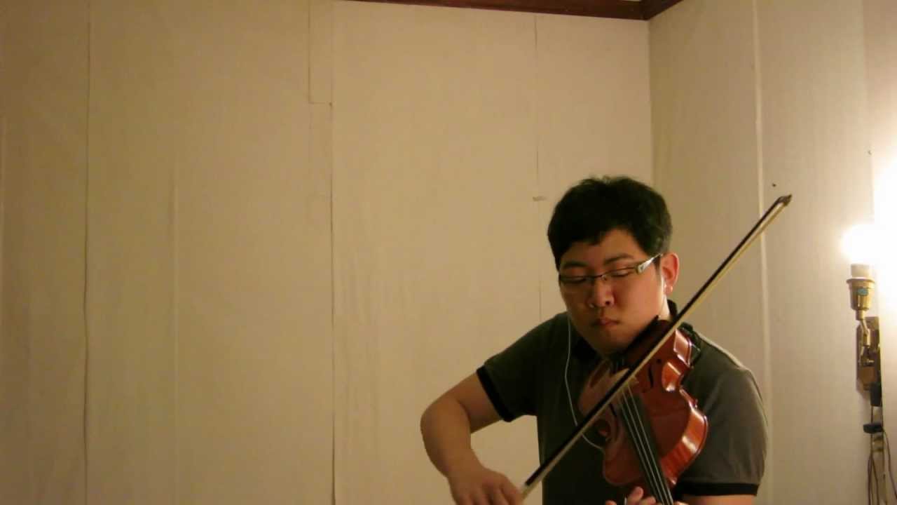 Leap the Precipice Violin Cover - Eternal Sonata