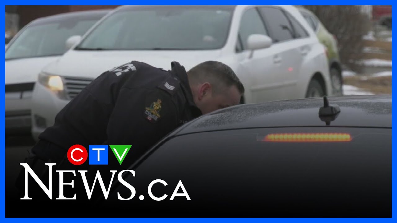 Lethbridge police wrap up month-long traffic enforcement project