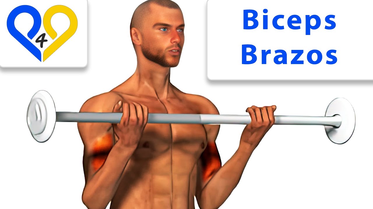 Curl de biceps con barras - Entrenamiento Brazos / Biceps - C&oacute;mo entrenar Ejercicio #p4p