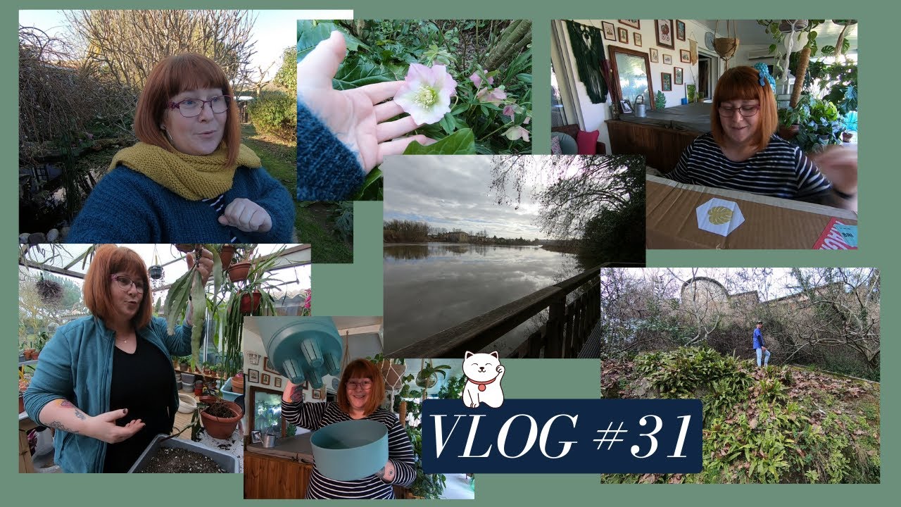 VLOG#31🌿Unboxing plante rare et atypique | balade nature | Des trouvailles pour mes plantes |JARDIN