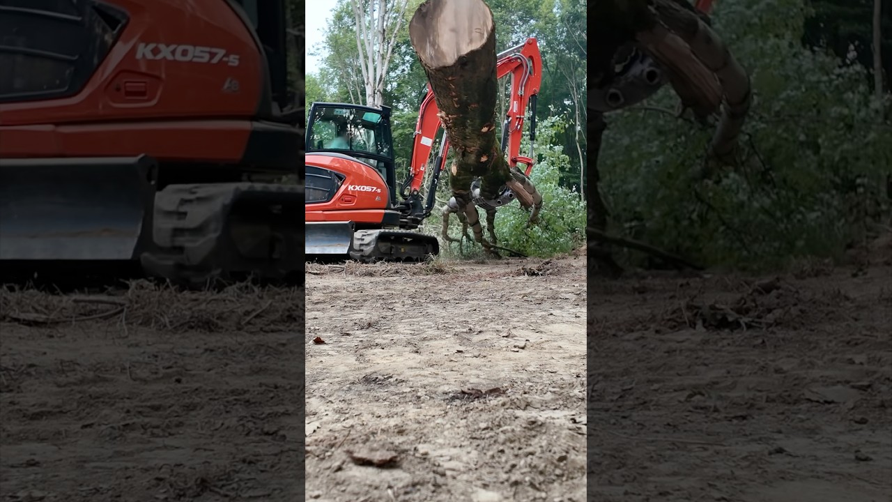 Easy way to Clear Land!