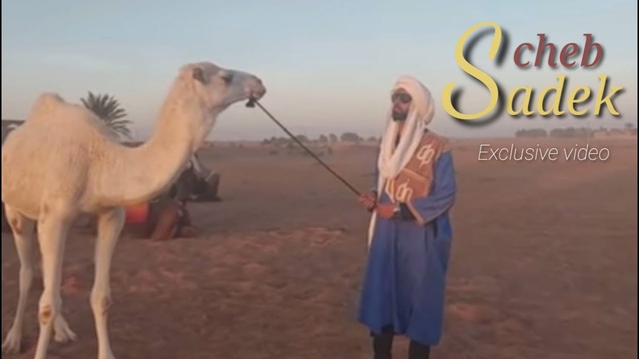 cheb sadek ( cover ) أغاني صحراوية بصوت الشاب صادق _ لكل ليل نجوم _ حسناء يا ليلى