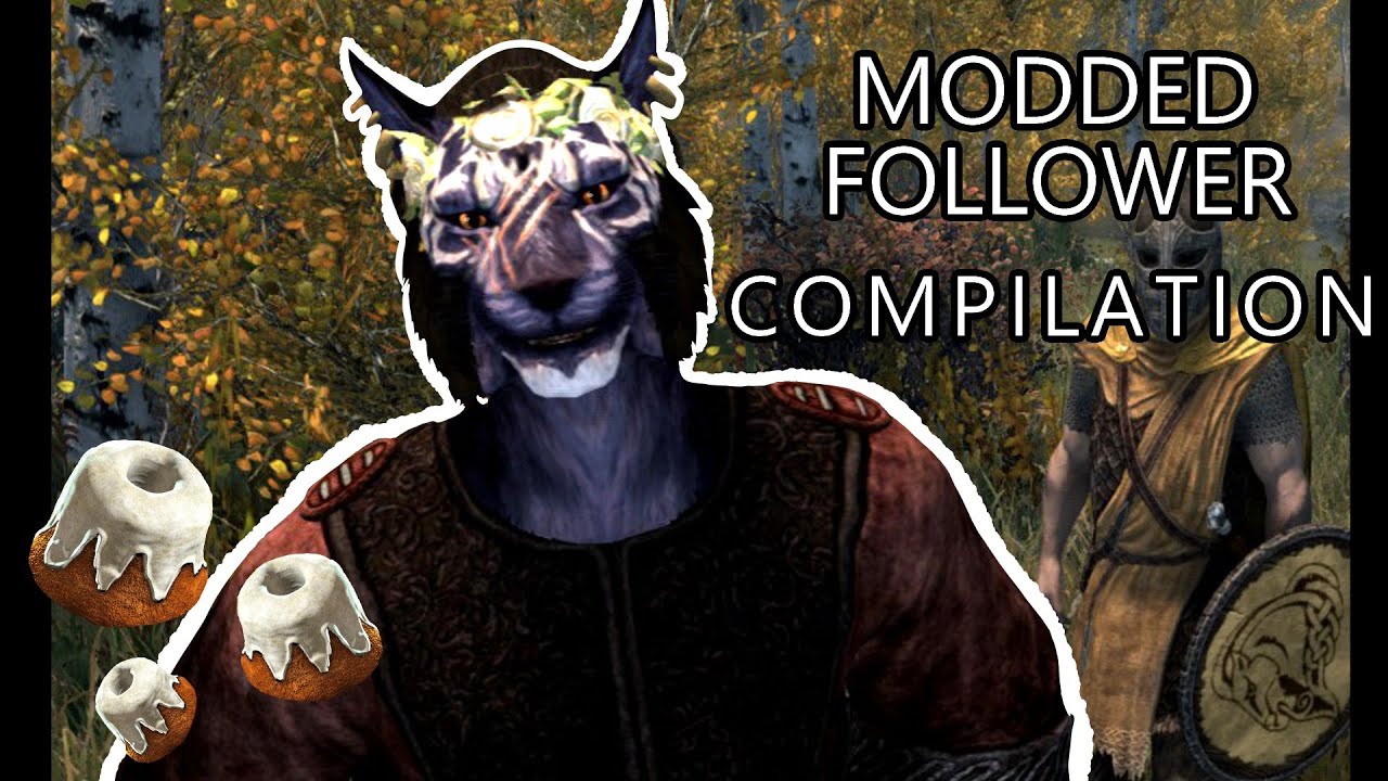 Мои подписчики с модами стали хаотичными (и милыми) # 4 | Skyrim
