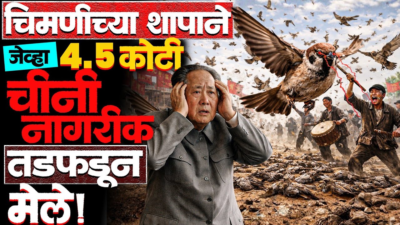 चीनमध्ये एकही चिमणी शिल्लक राहिली नव्हती मग चीन सरकारने.. #china_sparrow #maozedong #news #china