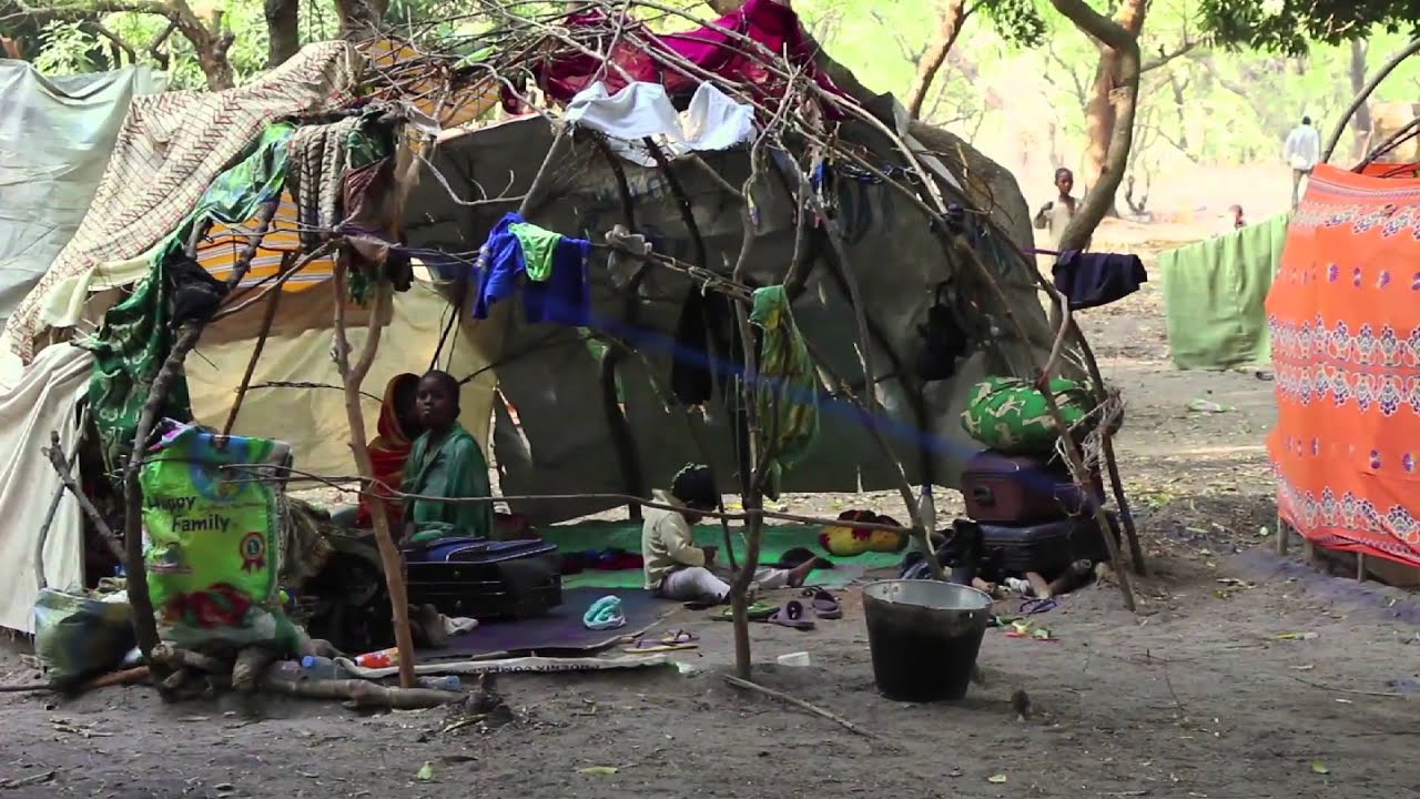 Central African Republic - Refugees Fleeing to Chad & Cameroon | MSF |