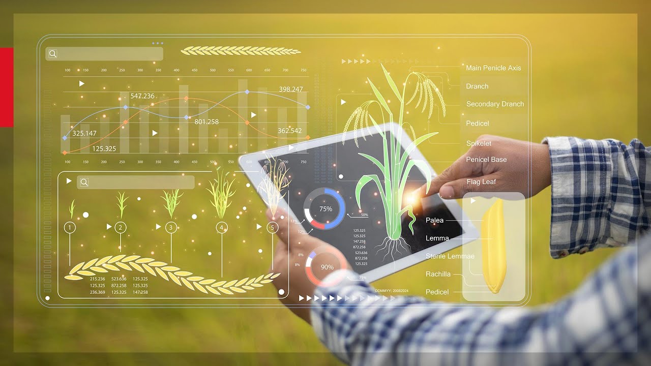 Agricultural Commodities &ndash; Market Research Tips