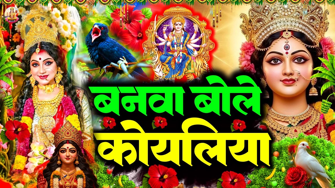#video | बनवा बोले कोयलिया | #Amit Dulara | Banwa Bole Koyaliya | #न्यू देवी गीत 🌺