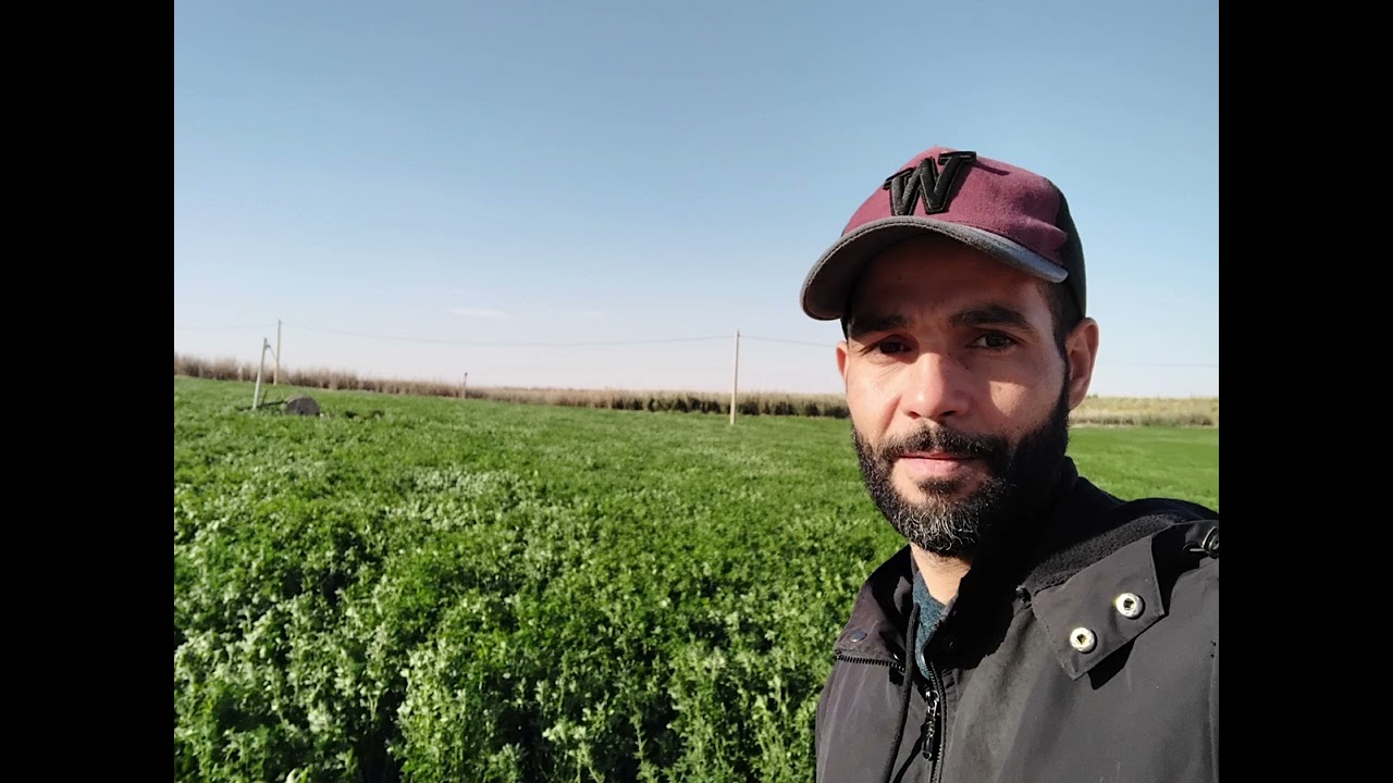 موال نايلي ولا أروع الشاب عبدالقادر النايلي 2025 عم الباطل والمطر مزال يصب