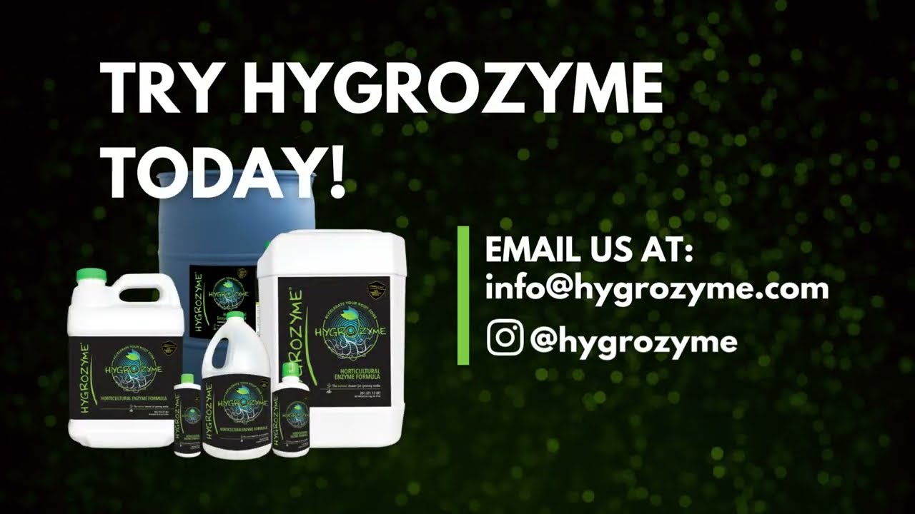 Accelerate Your Root Zone with Hygrozyme&reg;