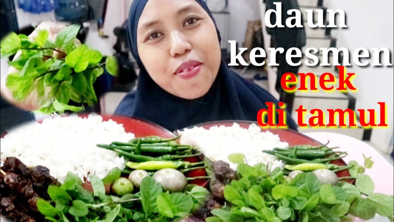 LALABAN DAUN MINS /SATE