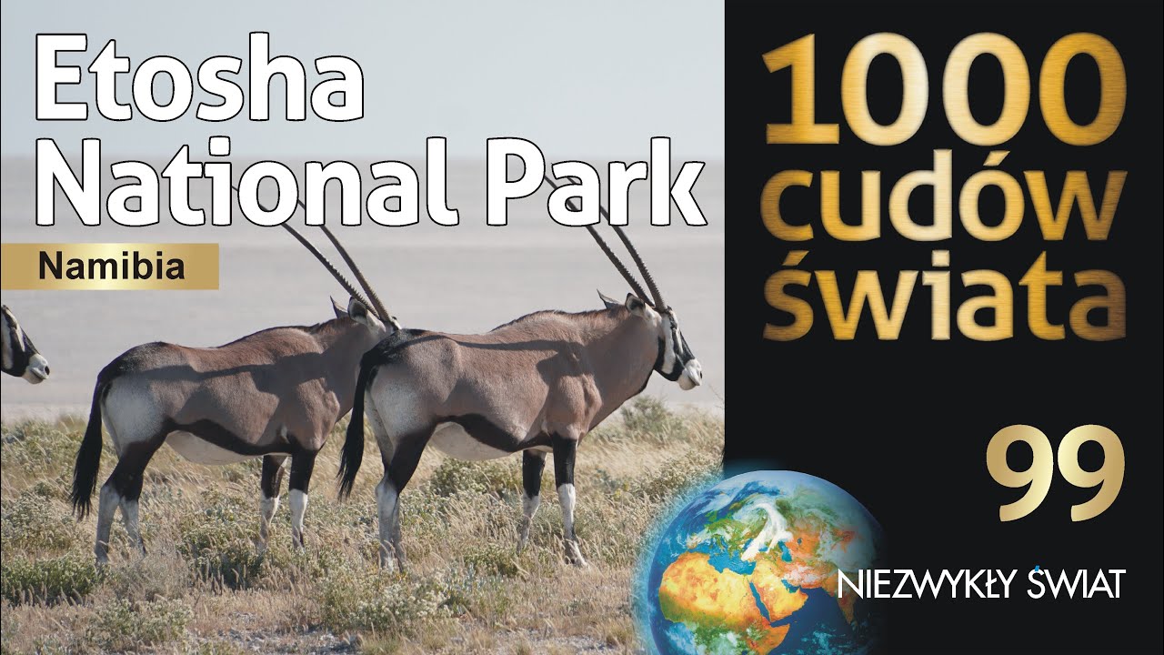 Etosha. Serce dzikiej afryki bije tutaj. Namibia