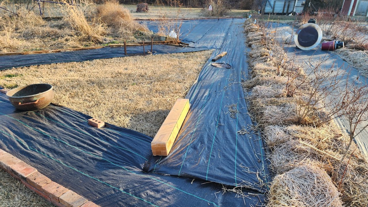 Garden expansion part 1