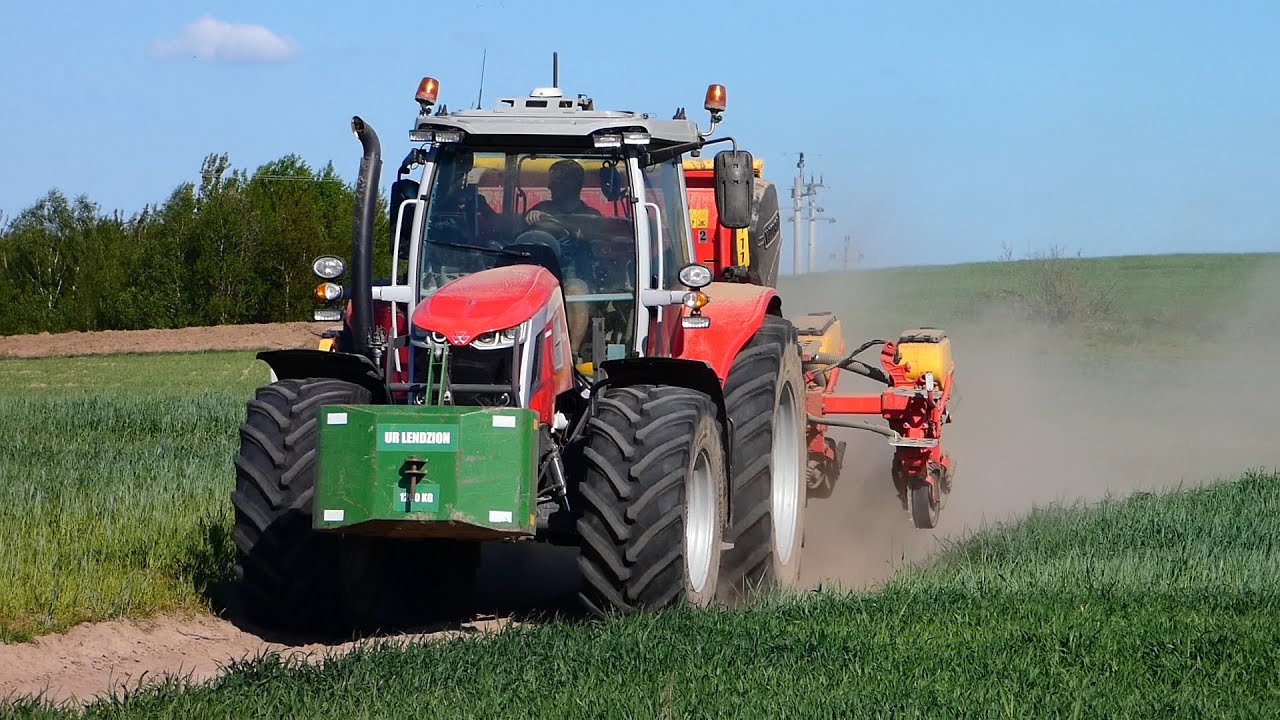 🇵🇱★Zadyma Na Pustyni Czyli Siew QQ Z Ur Lendzion W Gr Rumianek|Massey ferguson 7s&Vaderstad tempo v6