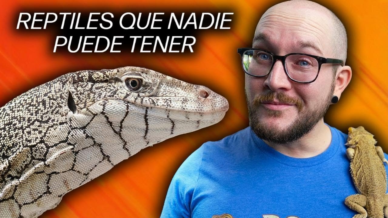 5 reptiles que nadie puede tener de mascota, ¡mejor elige estos!