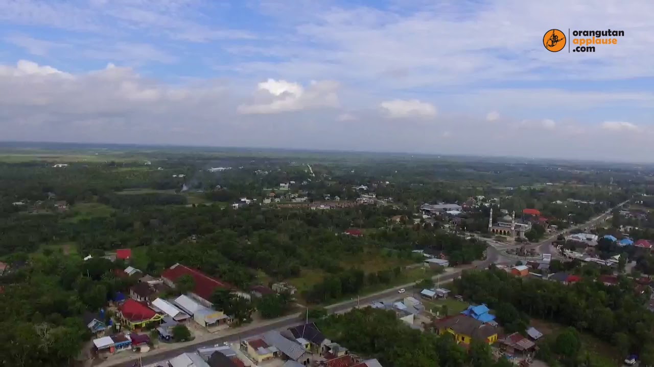 Enjoy the Forest from Distance