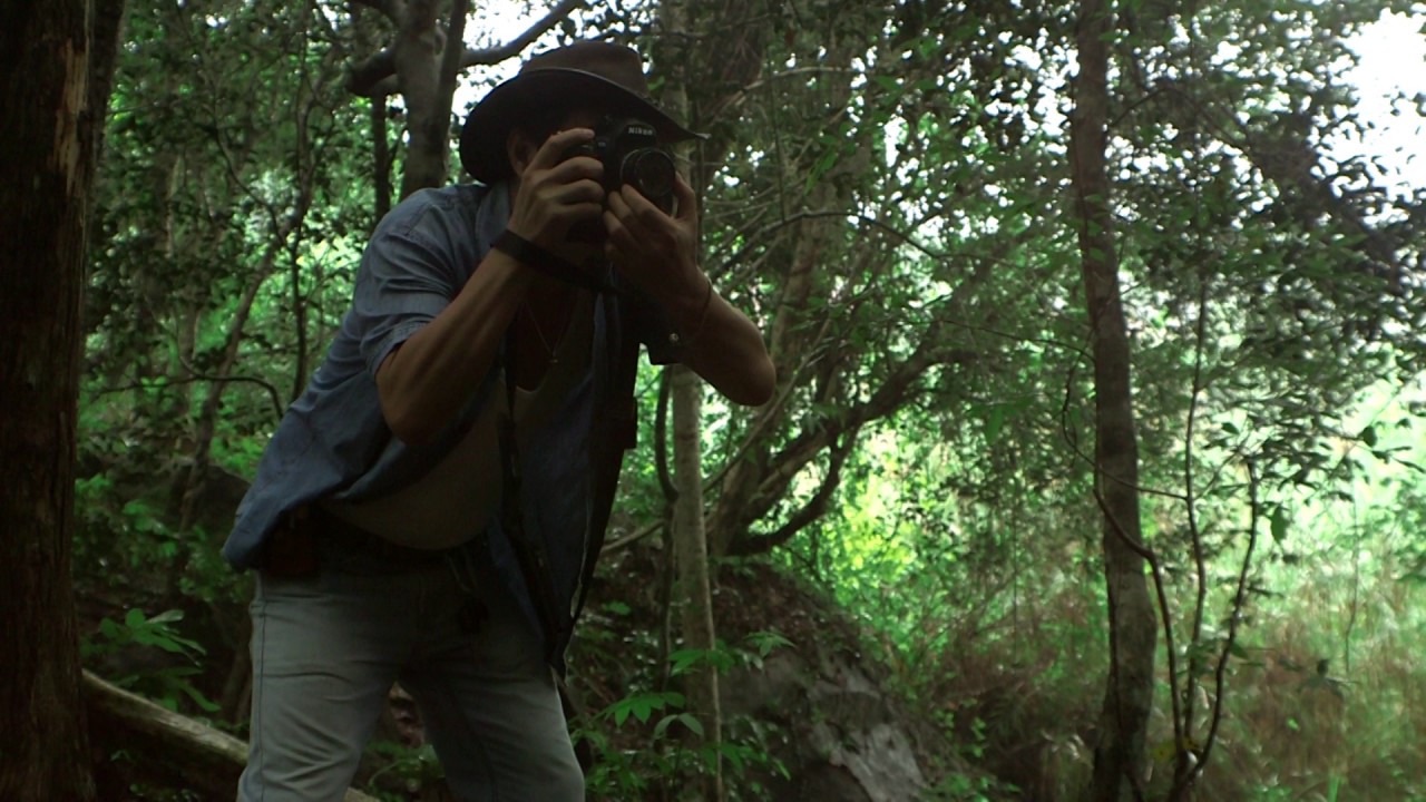 Nikonian in forest