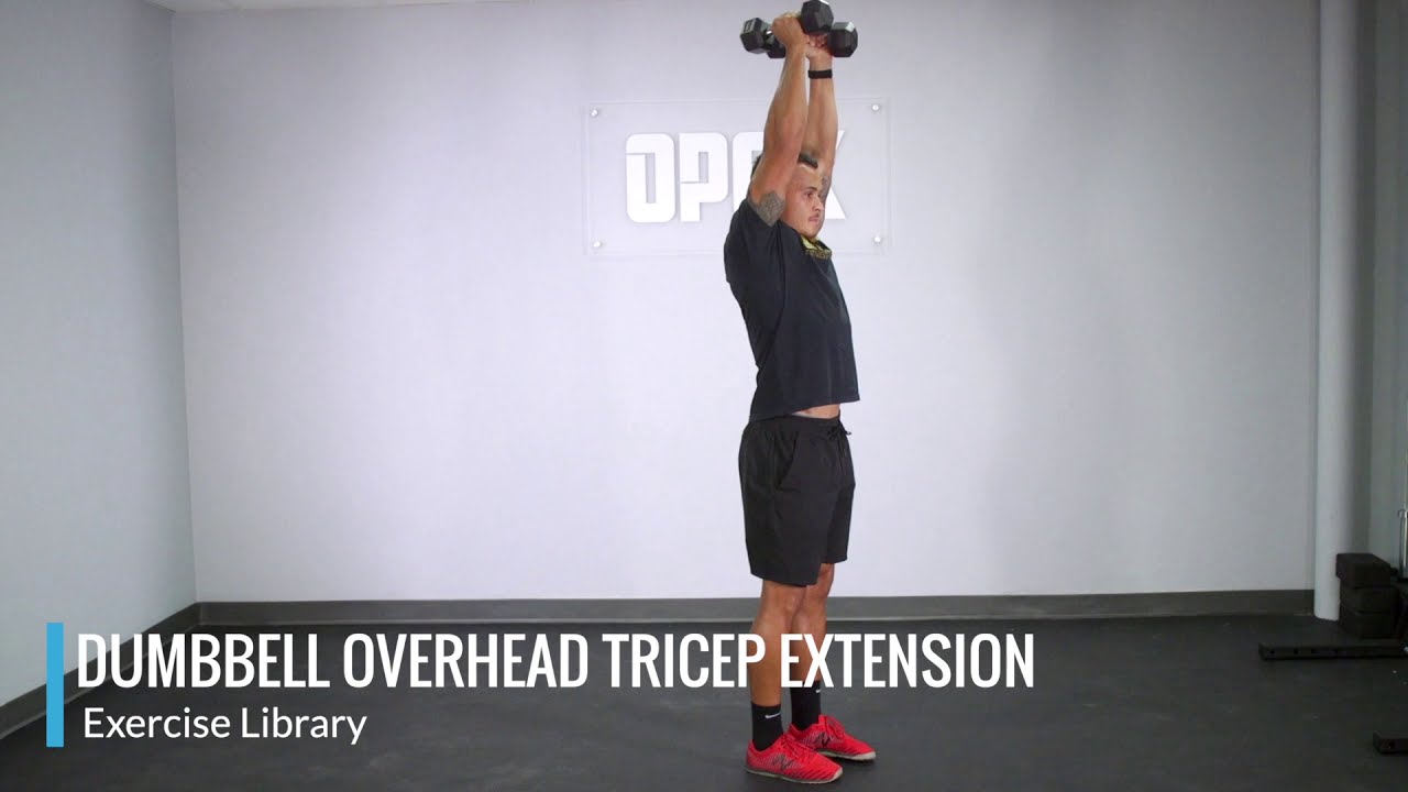 Dumbbell Overhead Tricep Extension - OPEX Exercise Library