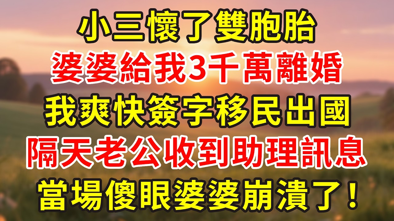 小三懷了雙胞胎，婆婆給我3千萬離婚，我爽快簽字移民出國，隔天老公收到助理訊息，當場傻眼婆婆崩潰了！#人生感悟 #故事分享 #故事頻道 #小說 #正能量 #情感 #感情