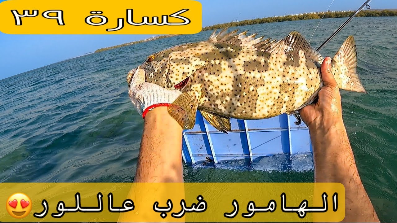توفقنا بالصيد:رغم الهواء وقطعنا سباحة🏊🏻‍♂️