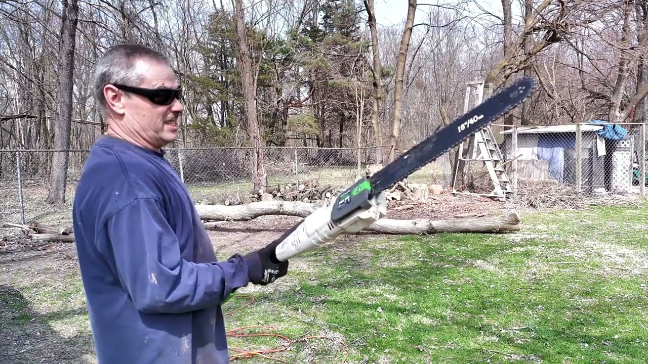 Cutting down box elder with pole saw