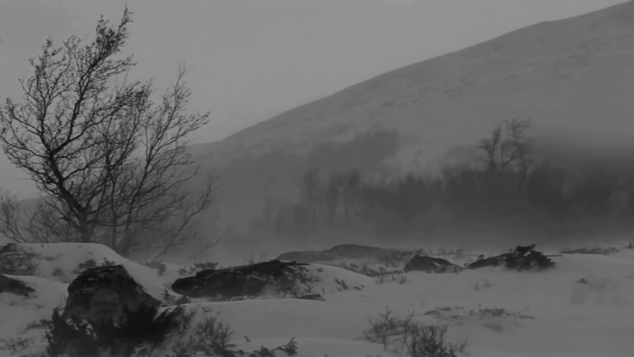 Arve Henriksen - Hibernal