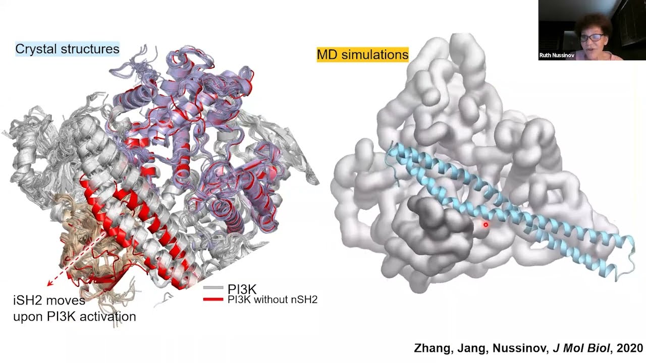 HITS Colloquium: Ruth Nussinov on the Ras signaling network