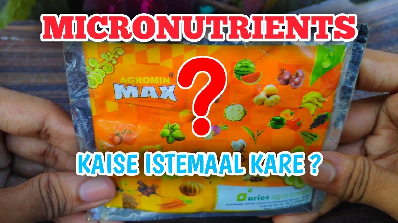 What Is Micronutrients? How To Use Micronutrients? Agromin Max | Uses And Benefits Of Micronutrients