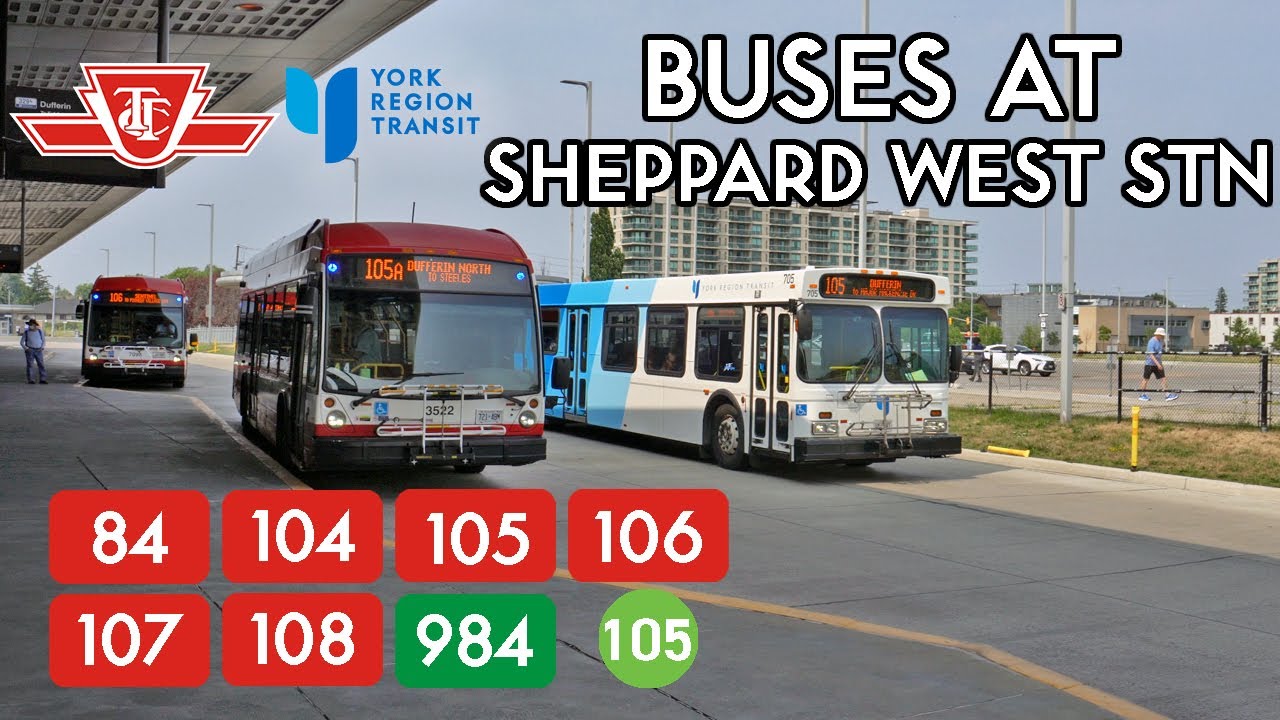 TTC and YRT Buses at Sheppard West Station
