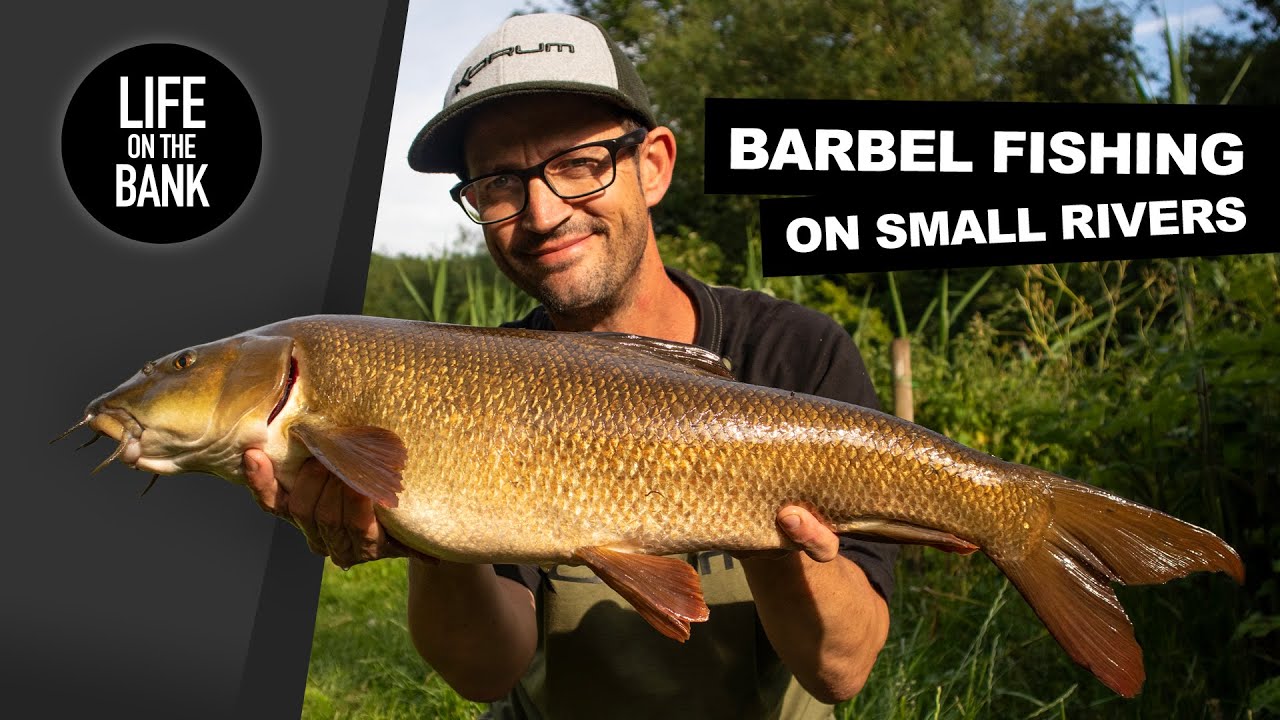BARBEL FISHING ON SMALL RIVERS