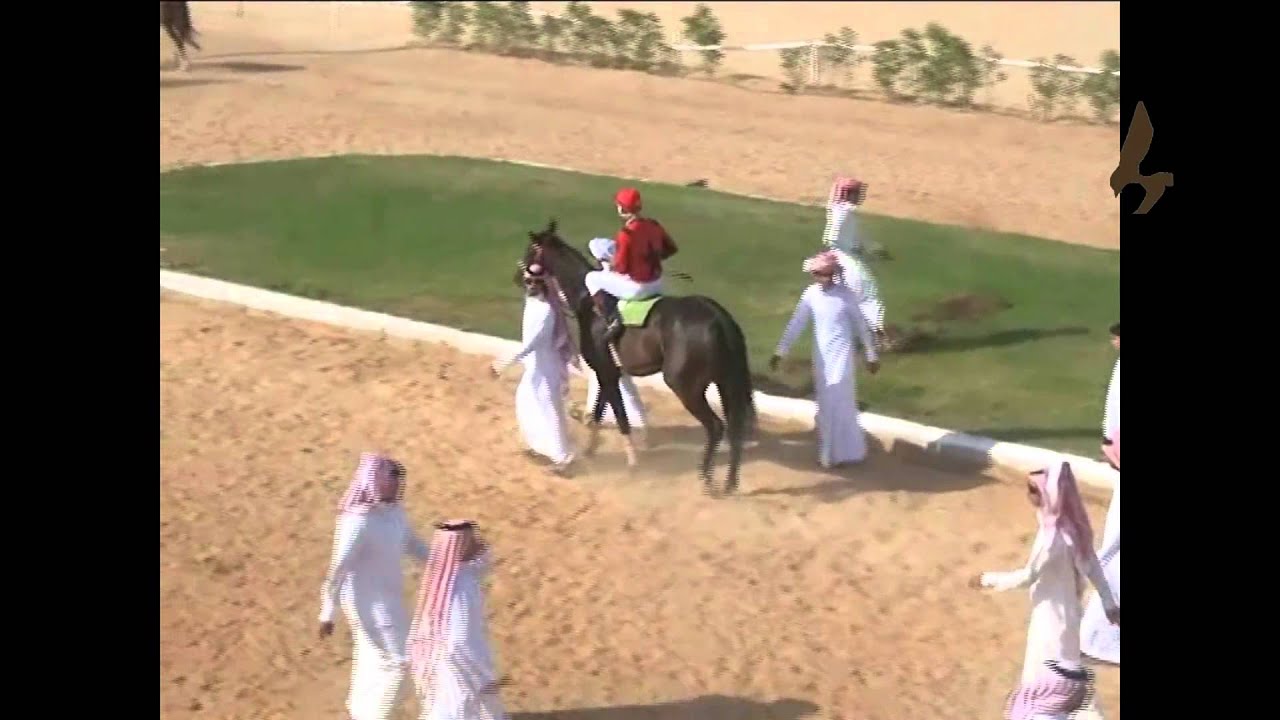 خفاري نجران ميدان فروسية نجران الحفل الاول1434.