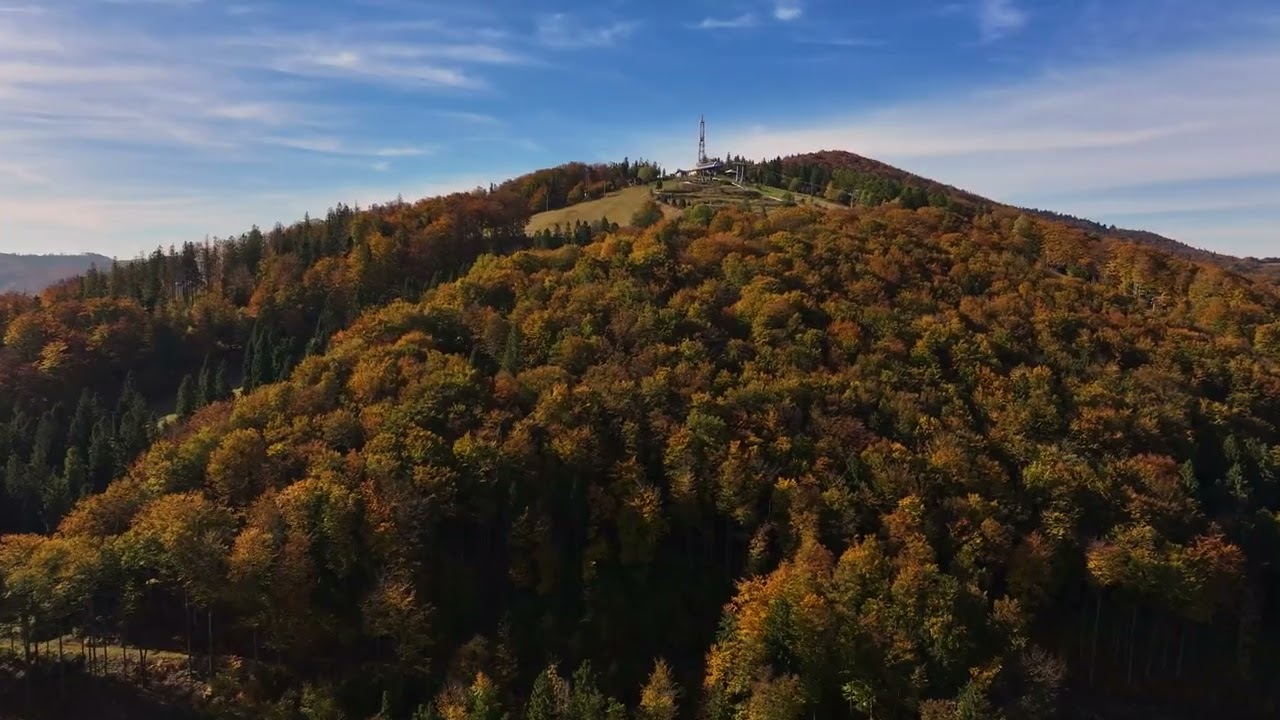 NIE SPRZEDAWAJCIE SWYCH MARZEŃ