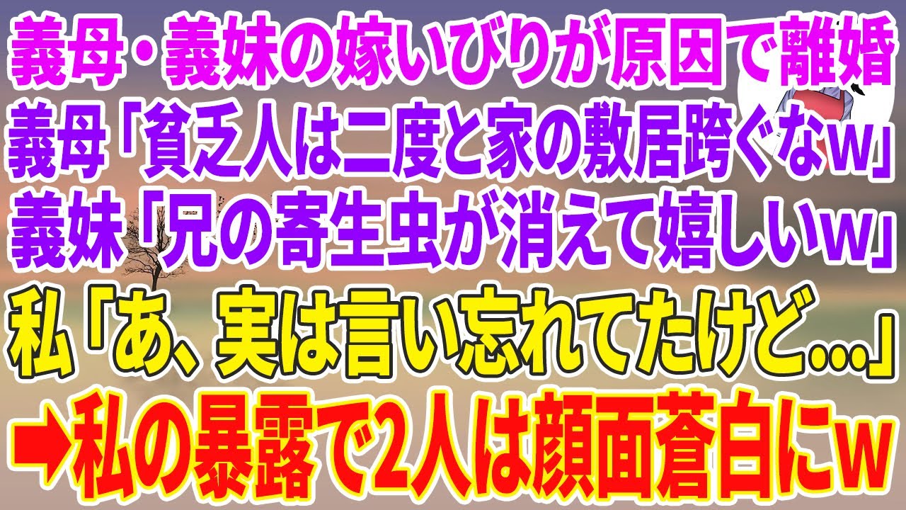 【スカッとする話】義母・義妹の嫁いびりが原因で夫と離婚。義母「貧乏人は二度と家の敷居跨ぐなw」義妹「兄の寄生虫が消えて嬉しいw」私「あ、実は言い忘れてたけど...」私の暴露で2人は顔面蒼白にw