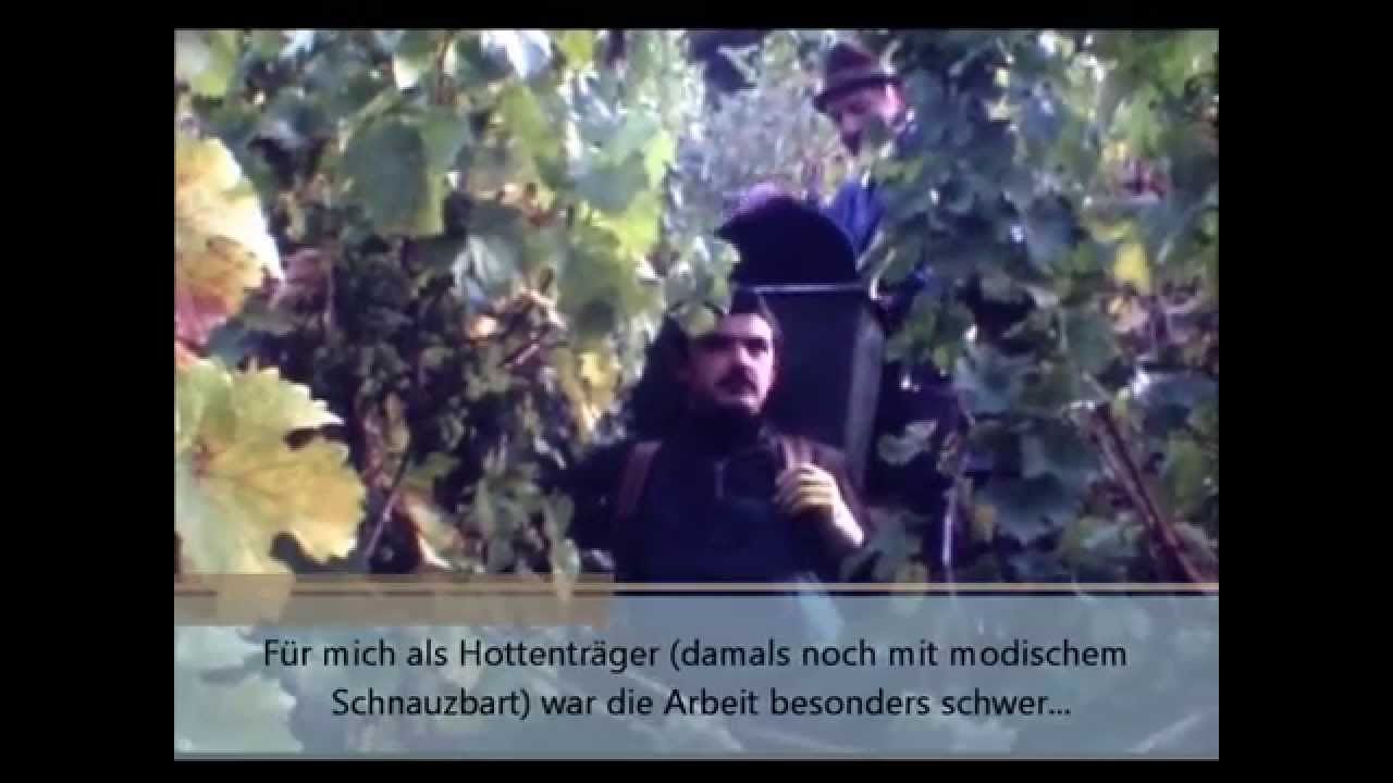 Jahrgang 1976 - Weinlese im im Weingut Edgar Hermes