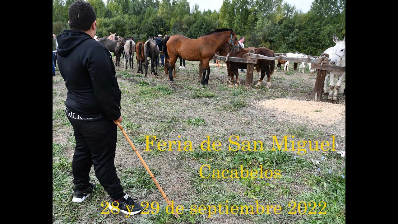 Feria de San Miguel 2022 1 en Cacabelos