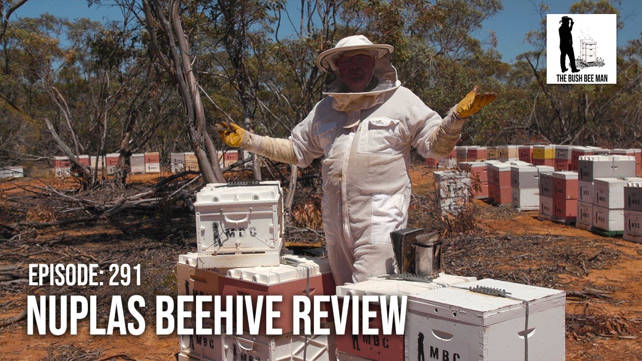 Обзор пластикового улья Nuplas: коммерческое пчеловодство | The Bush Bee Man