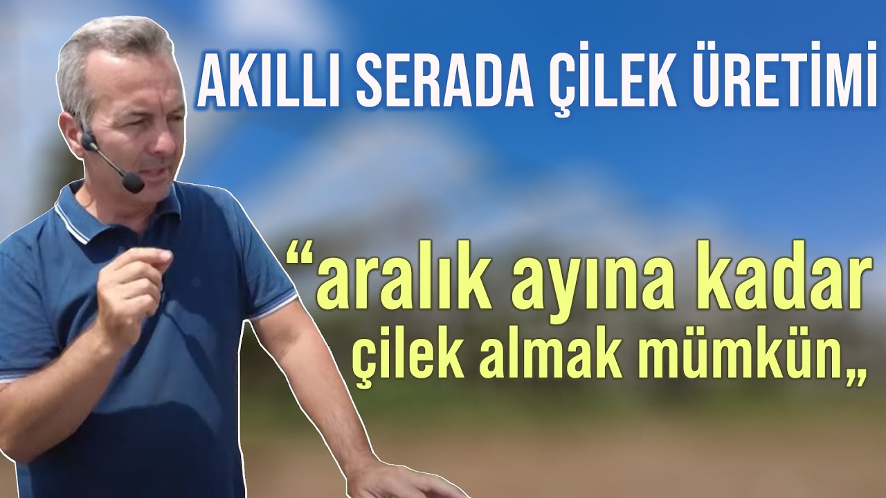 Akıllı Serada Çilek Üretimi / “Aralık Ayına Kadar Çilek Almak Mümkün” - Çilek Tadında