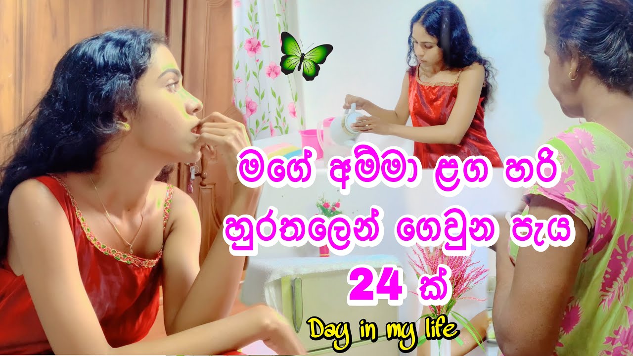 🍃චූටි දුවෙක්🌸විදියට විවාහයෙන් පස්⁣සෙත් මගේ දෙමාපියන් 😊ළග මම සතුටින් දවස් ගෙවන විදිය😊🍂 #dailyvlog