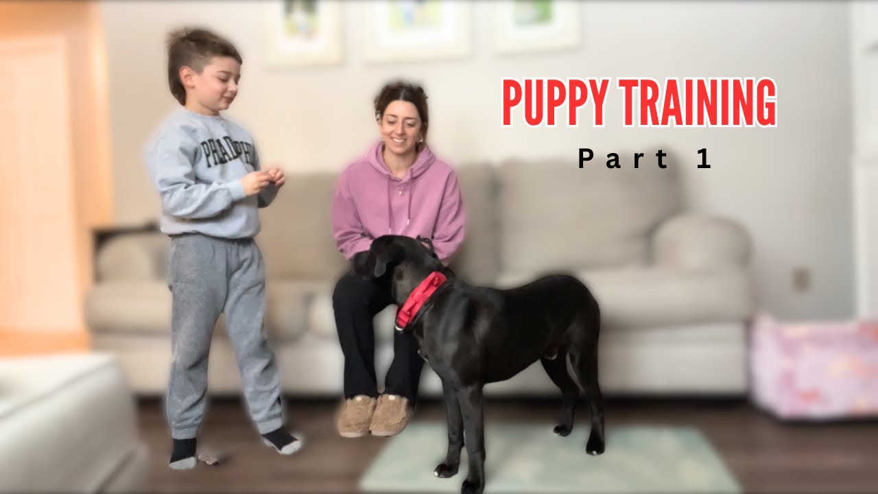 Part 1: Tracker’s first dog training/Tracker merch is here! 