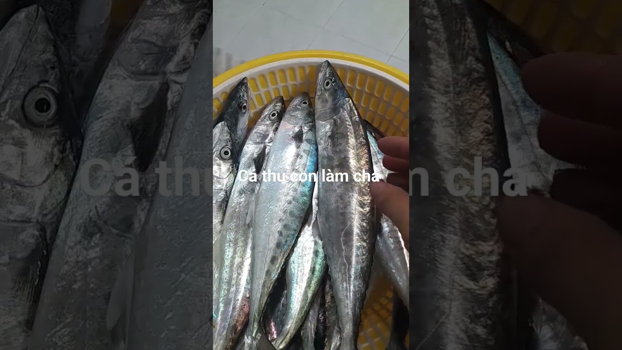 C&aacute; Thu Ảo