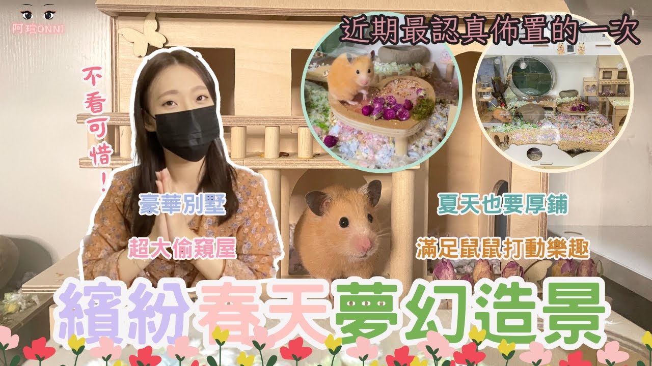 睽違已久萬眾矚目春夏倉鼠籠造景來啦～竟然還有度假別墅、粉嫩愛心平台！！！《倉鼠科養篇》